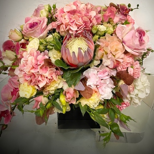 Velvet Blooms
